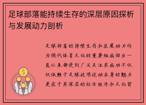 足球部落能持续生存的深层原因探析与发展动力剖析