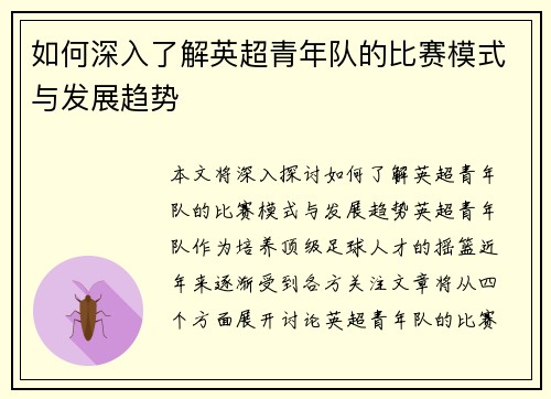 如何深入了解英超青年队的比赛模式与发展趋势