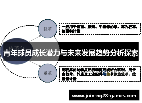 青年球员成长潜力与未来发展趋势分析探索